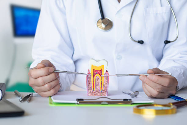 Best Emergency Denture Repair in Camden, OH